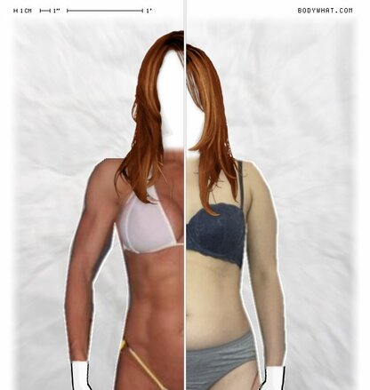 Torso Comparison