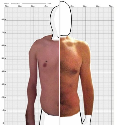 Torso Comparison