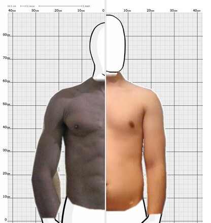 Torso Comparison