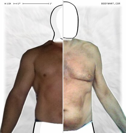 Torso Comparison