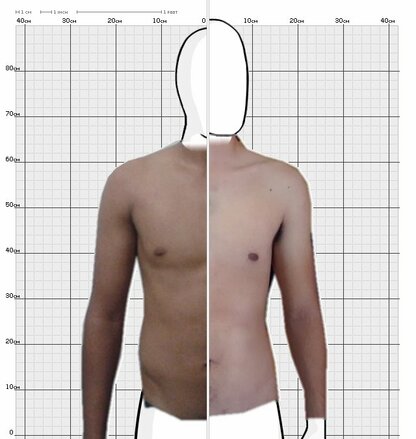 Torso Comparison