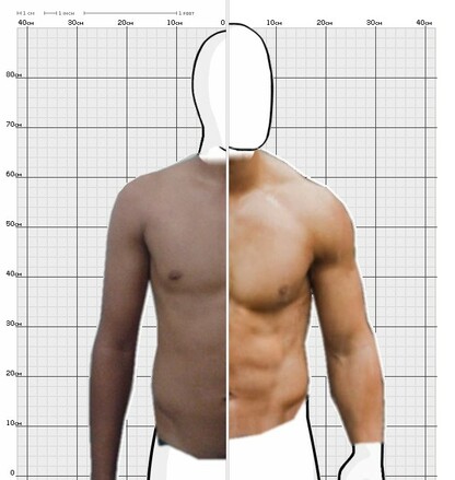 Torso Comparison