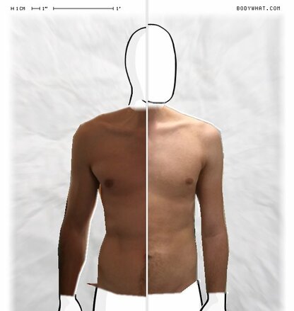 Torso Comparison