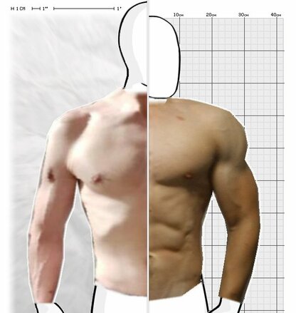 Torso Comparison