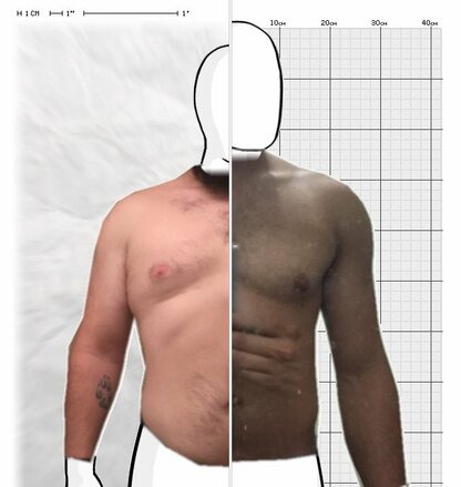 Torso Comparison