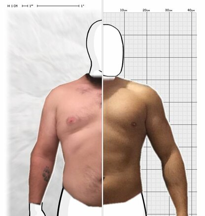 Torso Comparison