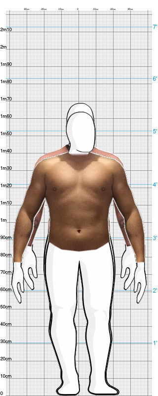 Full Size Comparison