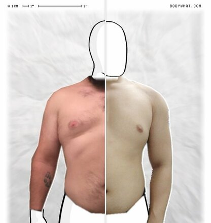 Torso Comparison