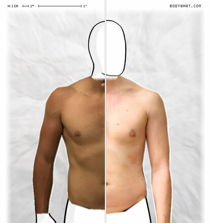 Torso Comparison