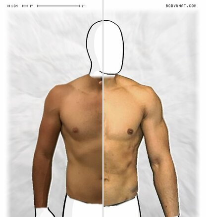 Torso Comparison
