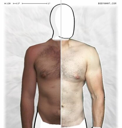 Torso Comparison