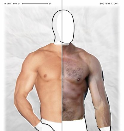 Torso Comparison