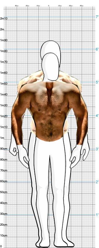 Full Size Comparison