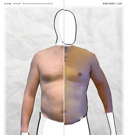 Torso Comparison