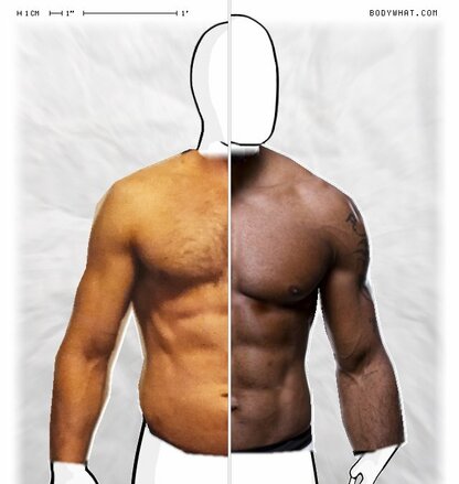 Torso Comparison