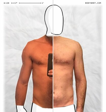 Torso Comparison