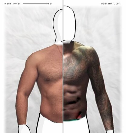 Torso Comparison