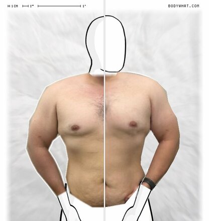 Torso Comparison