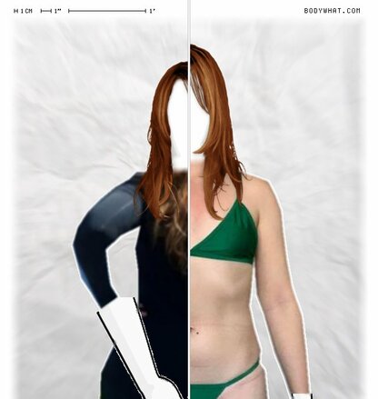 Torso Comparison