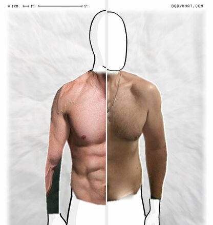 Torso Comparison