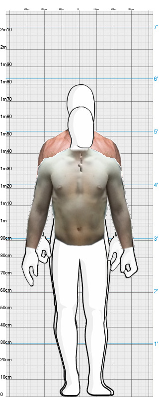 Full Size Comparison
