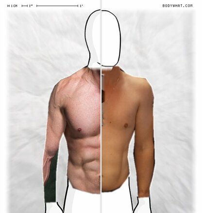Torso Comparison