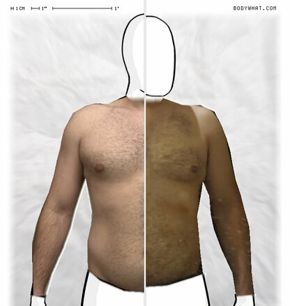 Torso Comparison