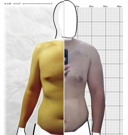 Torso Comparison