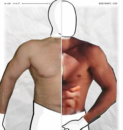Torso Comparison