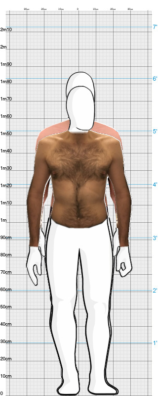 Full Size Comparison