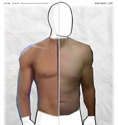 Torso Comparison