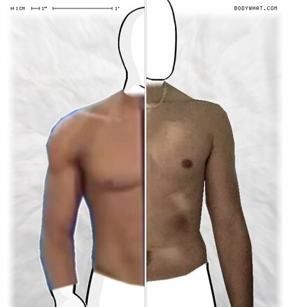 Torso Comparison