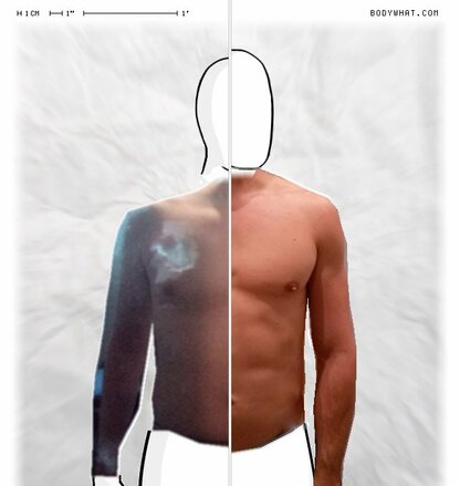 Torso Comparison