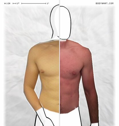 Torso Comparison