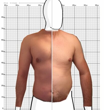 Torso Comparison