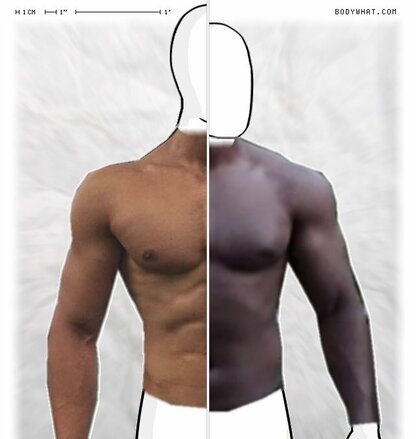 Torso Comparison