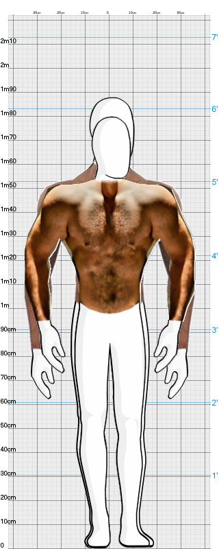 Full Size Comparison