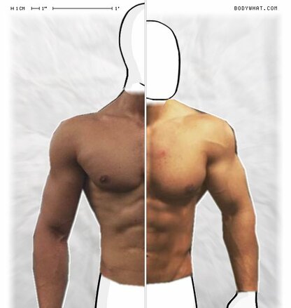 Torso Comparison