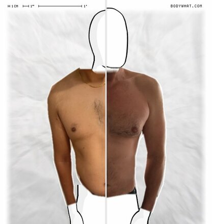 Torso Comparison