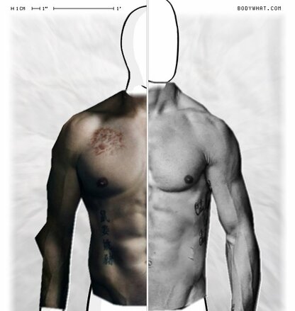 Torso Comparison