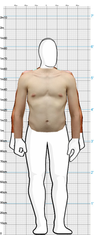 Full Size Comparison