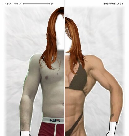 Torso Comparison