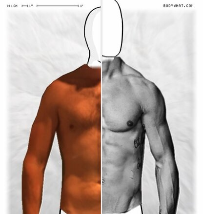 Torso Comparison