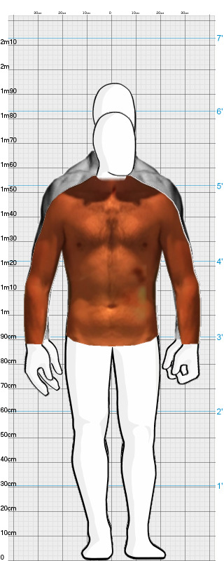 Full Size Comparison