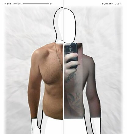 Torso Comparison