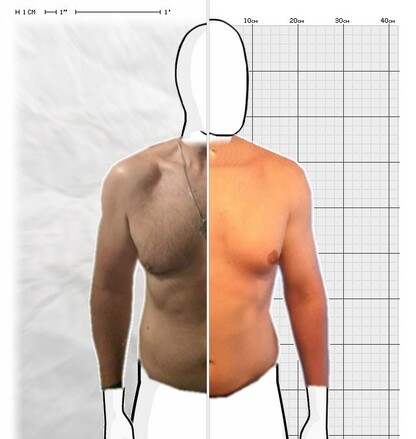 Torso Comparison