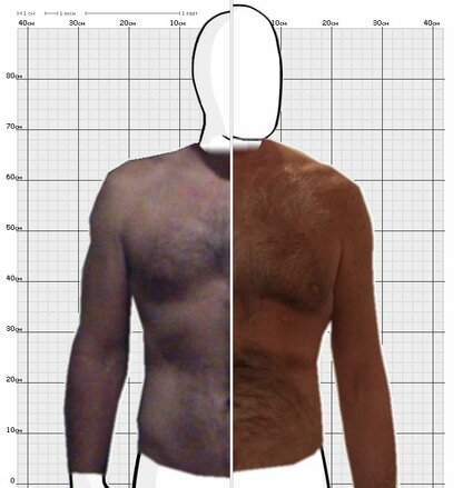 Torso Comparison