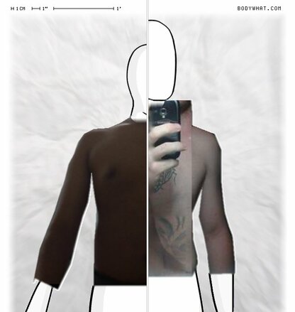 Torso Comparison