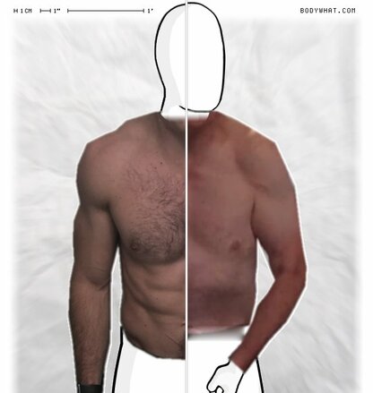 Torso Comparison