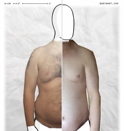 Torso Comparison